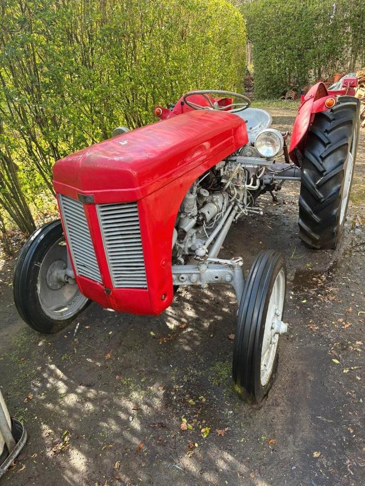 Ferguson tractor oldtimer, Articles professionnels, Agriculture | Tracteurs, Massey Ferguson, Oldtimer/Ancêtre, Enlèvement