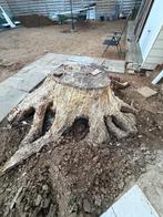 bois de chauffage, 3 à 6 m³, Enlèvement, Chêne, Troncs d'arbres