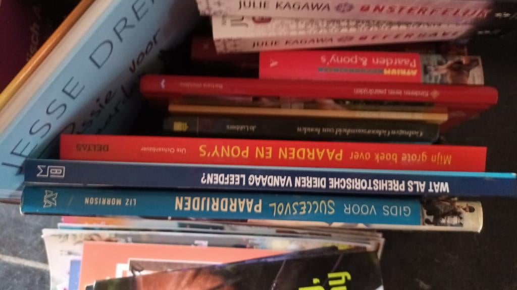 Allerhande boeken jeugd, Ophalen, Gelezen, Kind en Jeugd