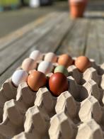 Vrije uitloop eieren, Dieren en Toebehoren, Ophalen, Zo goed als nieuw