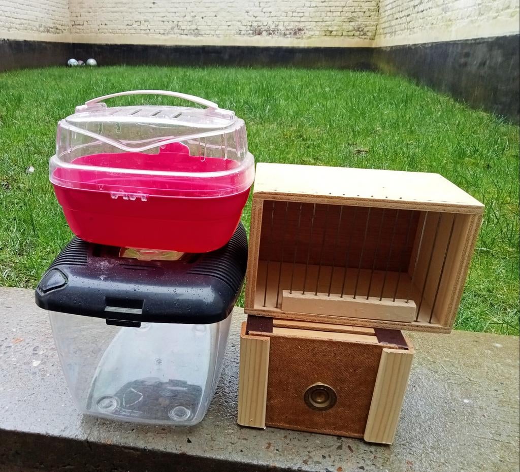 Cage de transport à animaux, Animaux & Accessoires, Rongeurs & Lapins | Cages & Clapiers, Neuf, Cage de voyage ou Boîte de transport