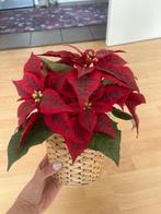 Plante artificielle et pot, Maison & Meubles, Enlèvement ou Envoi, Comme neuf