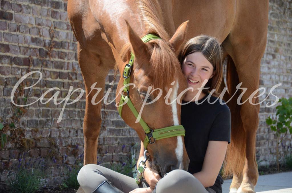 Ruiter aangeboden, Dieren en Toebehoren, Paarden