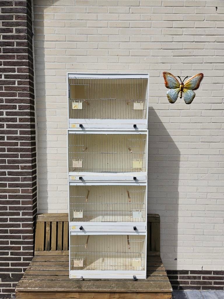 Kweekkooien, Ophalen