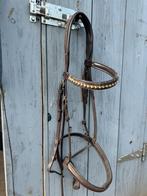 Hoofdstel en borsttuig LJ Leathers, Dieren en Toebehoren, Ophalen of Verzenden, Gebruikt, Springen