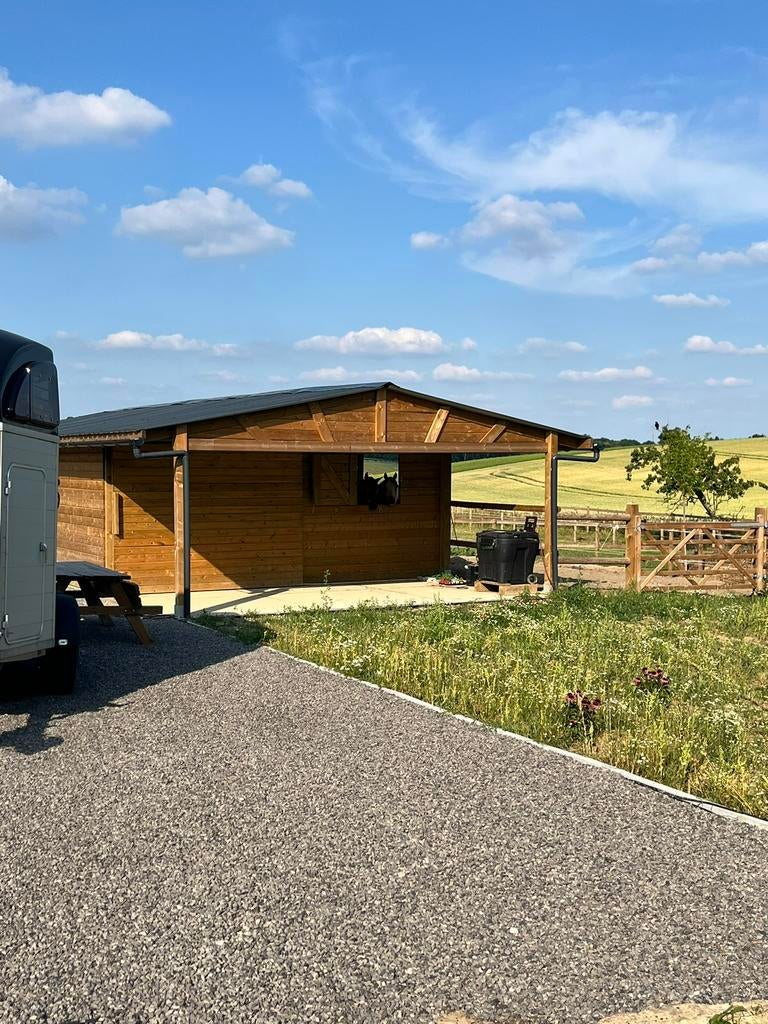 Pensionplaats voor 1 extra paard in Overijse, Dieren en Toebehoren, Paarden