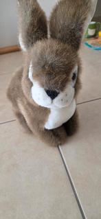 Lapin de Pâques, Enlèvement, Comme neuf