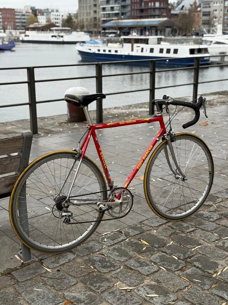 Eddy Merckx retro koersfiets, Fietsen en Brommers, Fietsen | Oldtimers, 51 tot 55 cm, Jaren '60 of nieuwer, Velgrem, Ophalen