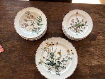 Set van 24 borden en sauskom van Villeroy & Boch, Botanica beschikbaar voor biedingen