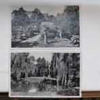 2 oude postkaarten van Boom, Ophalen of Verzenden