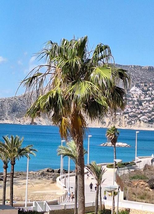 vakantie verhuur spanje Calpe appartement Las Garzas, Vakantie, Vakantiehuizen | Spanje, Costa Blanca, Appartement, Dorp, Aan zee