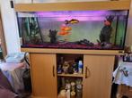 VISSEN EN AQUARIUM, Ophalen, Nieuw, Gevuld zoetwateraquarium
