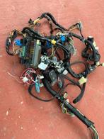 Câblage Honda esi série d, Ophalen of Verzenden