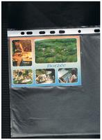 CARTE POSTALE BORZEE (LA ROCHE), Collections, Envoi, 1980 à nos jours, Affranchie, Luxembourg