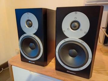 Dynaudio excite x14, Audio, Tv en Foto, Gebruikt, 60 tot 120 watt, Front, Rear of Stereo speakers, Ophalen