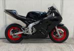 Honda mini gp NSR racebike met YX 4 takt motor & nsf kuipen, Motoren, Particulier