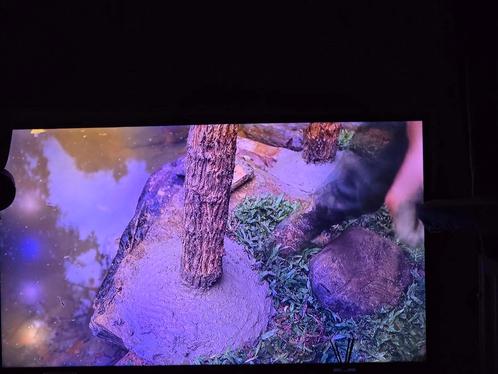 Tv plasma lcd, Audio, Tv en Foto, Televisies, Zo goed als nieuw, LCD, 100 cm of meer, HD Ready (720p), LG, Ophalen