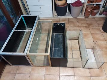Verschillende aquaria €50 beschikbaar voor biedingen