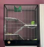 Rattenkooi/knaagdierkooi te koop, Dieren en Toebehoren, Ophalen, Kooi, Gebruikt, 90 cm of meer