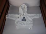 pull + capuchon taille 62, Enfants & Bébés, Vêtements de bébé | Taille 62, Enlèvement ou Envoi, Comme neuf, Garçon, Pull ou Veste