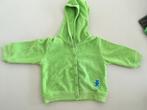 p'tit filou 3m, Kinderen en Baby's, Babykleding | Maat 62, Truitje of Vestje, Ophalen of Verzenden, Zo goed als nieuw, Jongetje