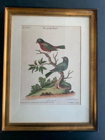 2 mooie 18de eeuwse tekeningen van F.M.Seligmann beschikbaar voor biedingen