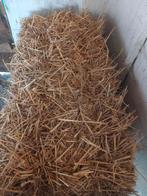 Stro en aardappelen te koop, Zakelijke goederen, Ophalen