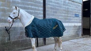 200g staldeken Imperial Riding 185 beschikbaar voor biedingen