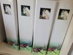 Boeken paarden, Boeken, Dieren en Huisdieren, Ophalen, Zo goed als nieuw, Paarden of Pony's