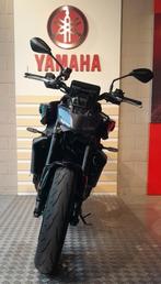 YAMAHA MT-09, Entreprise, 3 cylindres, 890 cm³, Naked bike