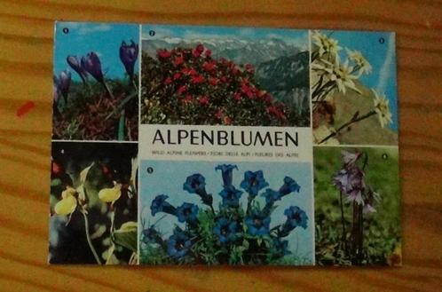 Postkaart met opgekleefde bloem of beeld Alpenbloemen, Verzamelen, Postkaarten | Themakaarten, Gelopen, Natuur, Ophalen of Verzenden
