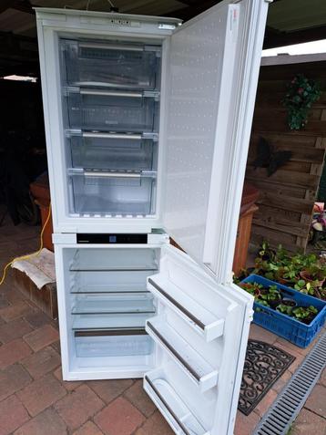 ijskast diepvries beschikbaar voor biedingen