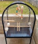 Grande cage perruche / perroquet, Animaux & Accessoires, Enlèvement ou Envoi, Neuf, Cage à oiseaux