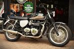 TRIUMPH BONNEVILLE T100 ***MOTOVERTE.BE***, 2 cilinders, Bedrijf, 900 cc, Naked bike