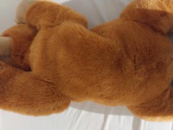 Een zeer grote teddybeer  beschikbaar voor biedingen