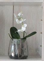 Glazen cache pot voor orchidee, Ophalen, Zo goed als nieuw, Overige materialen