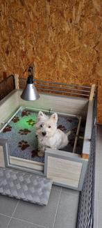 Complete werpkennel te huur – alles inbegrepen!, Dieren en Toebehoren, Ophalen, Zo goed als nieuw
