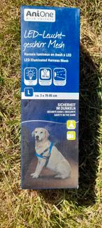 Nieuw lichtgevend (LED) hondentuig/harnas maat L, Ophalen of Verzenden, Nieuw