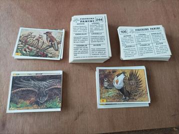 Panini Vogels , 160 verschillende stickers  beschikbaar voor biedingen