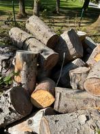 Bois de chauffage, Tuin en Terras, Brandhout, 6 m³ of meer, Ophalen, Overige houtsoorten, Stammen