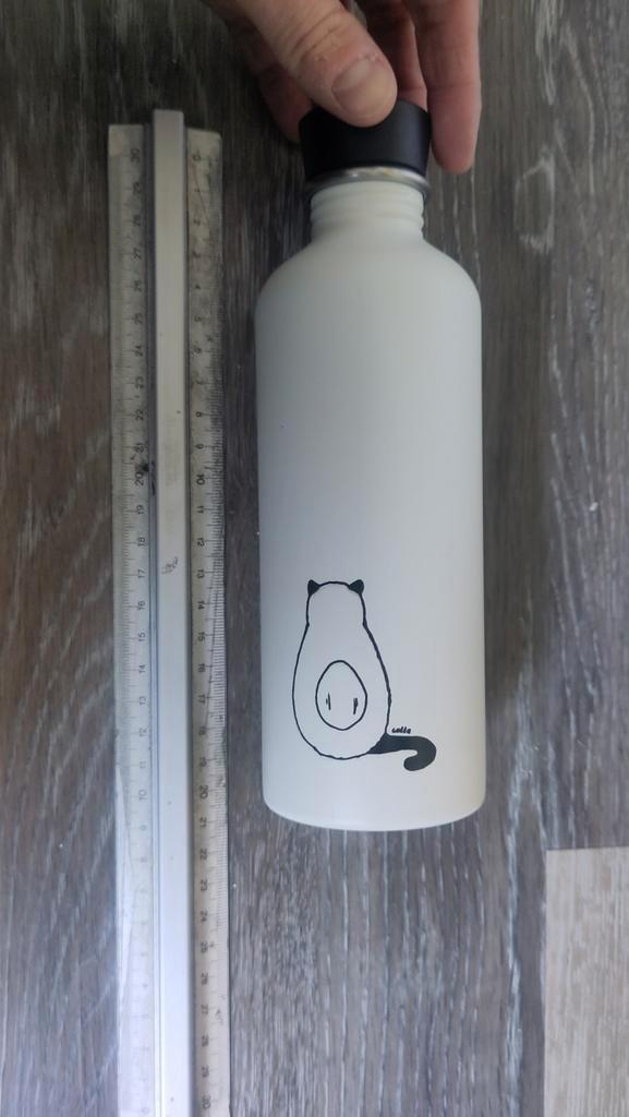 Stainless steel drinkfles, Sports & Fitness, Gourdes d'eau, Neuf, Enlèvement ou Envoi