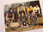 wielerkaart 1980 team renault  hinault bernaudeau, Envoi, Comme neuf
