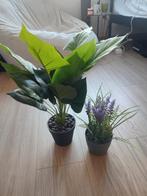 Fausses plantes, Ophalen, Zo goed als nieuw