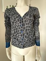 Pinko cardigan gris bleu pailleté motif léopard Taille, Vêtements | Femmes