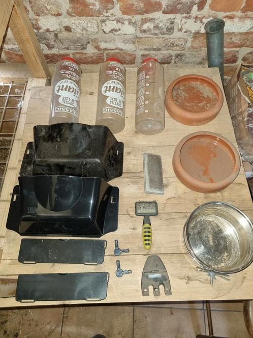 Verkoop van apparatuur reus van Vlaanderen, Dieren en Toebehoren, Konijnen, Groot, 3 tot 5 jaar