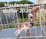 Doffer 2020 Meuleman, Dieren en Toebehoren