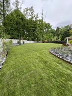 Création de pelouse, gazon, semis ou en rouleaux, Tuin en Terras, Gras en Kunstgras, Ophalen of Verzenden, Nieuw, 20 m² of meer