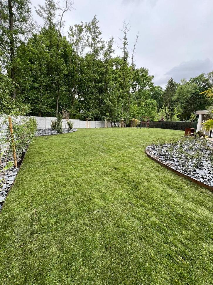 Création de pelouse, gazon, semis ou en rouleaux, Tuin en Terras, Gras en Kunstgras, Nieuw, Gras, 20 m² of meer, Ophalen of Verzenden