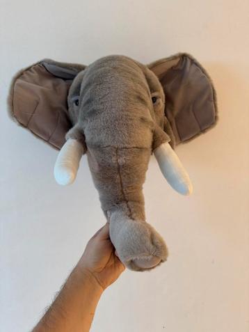 Dierenkop olifant beschikbaar voor biedingen