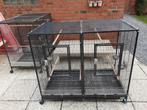 grote dubbele  vogelkooi kan er1 van maken of 2 kooien, Dieren en Toebehoren, Vogels | Hokken en Kooien, Ophalen, Gebruikt, Vogelkooi